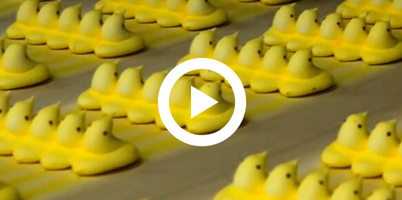 PEEPS chicks behind a Video Play button